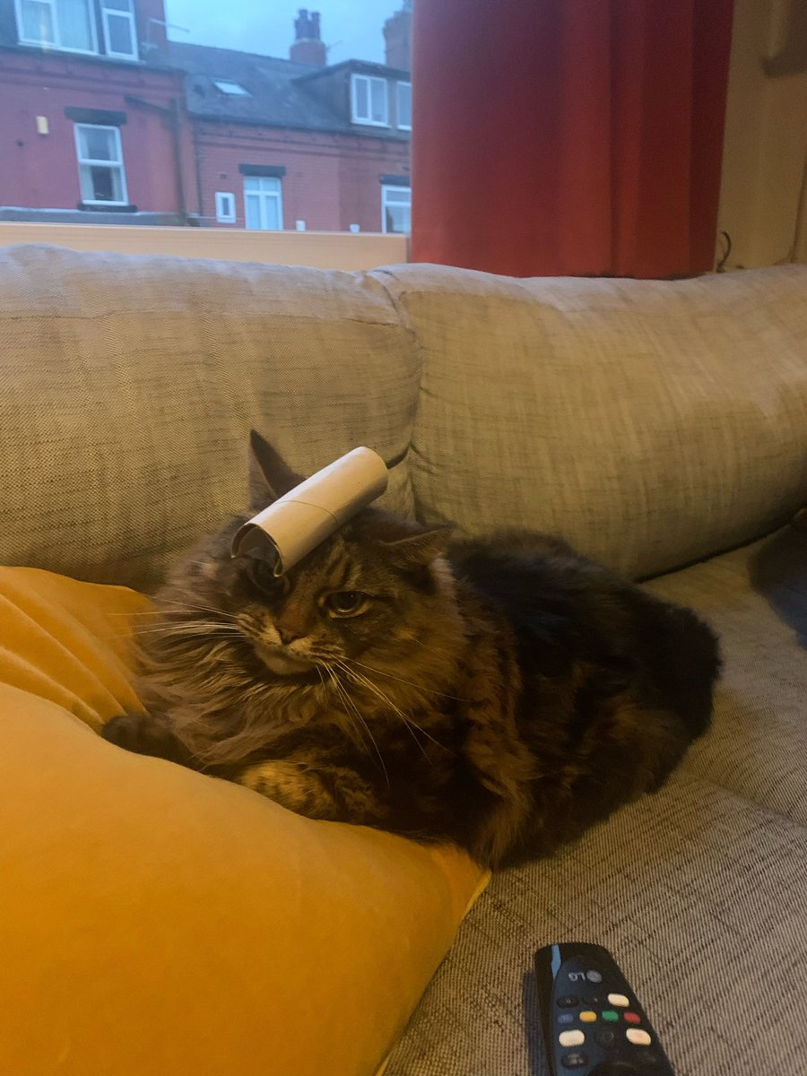 Chris Catalyst tweet media