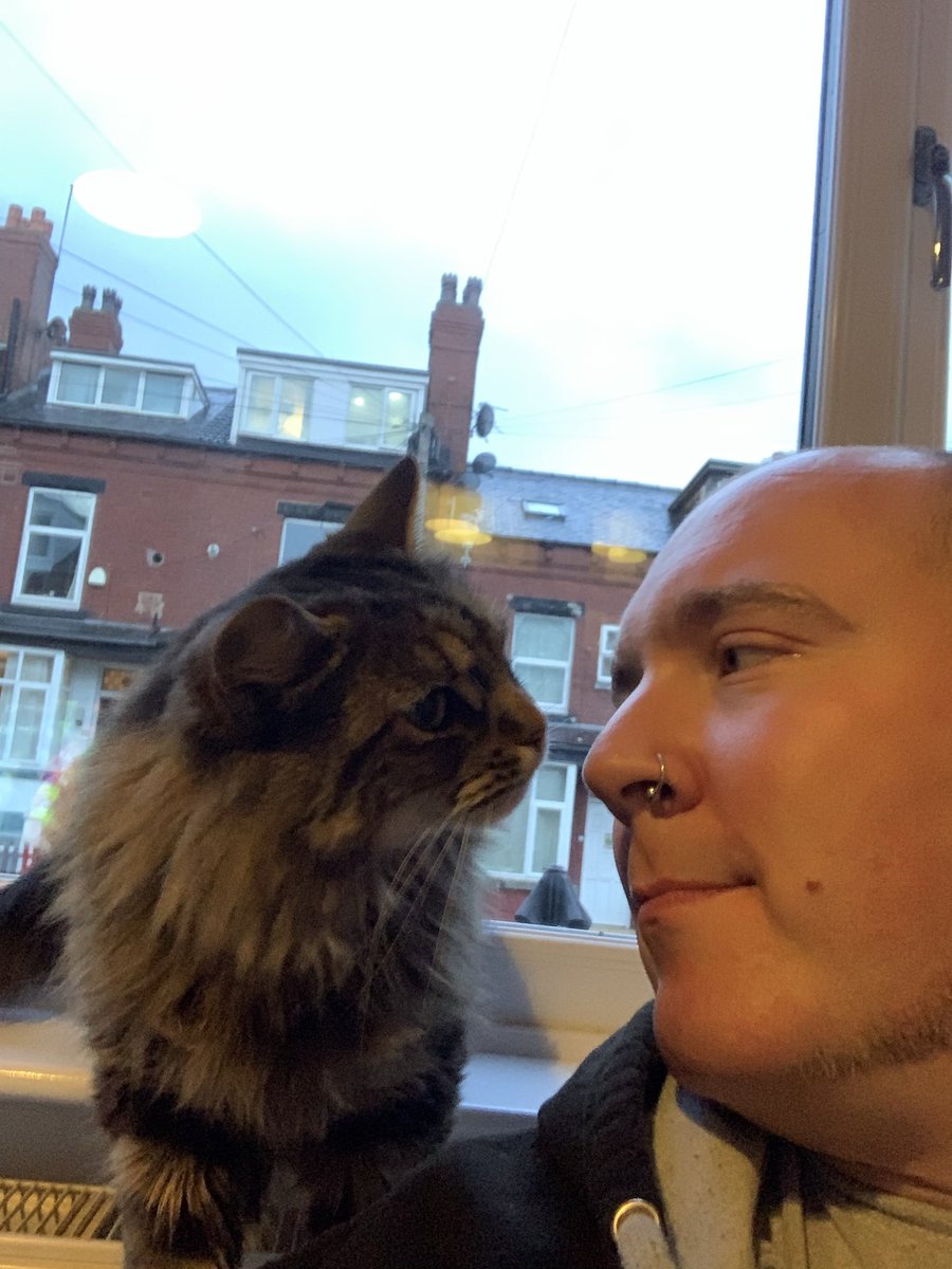 Chris Catalyst tweet media