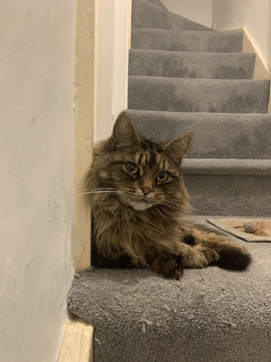 Chris Catalyst tweet media