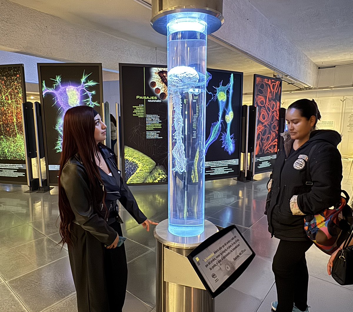 UniversumMuseo's tweet photo. ¡Lánzate a #Universum al #Neurofest2024 y #PrendeTuCerebro 🧠✨👏

Revisa las actividades que tenemos para ti 👇

https://t.co/3bwyGEFqac https://t.co/8X1FMSIfxj