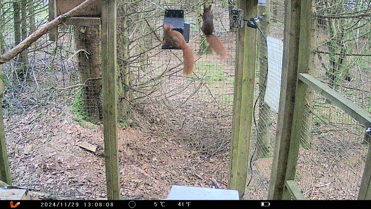 Dr Craig Shuttleworth tweet media