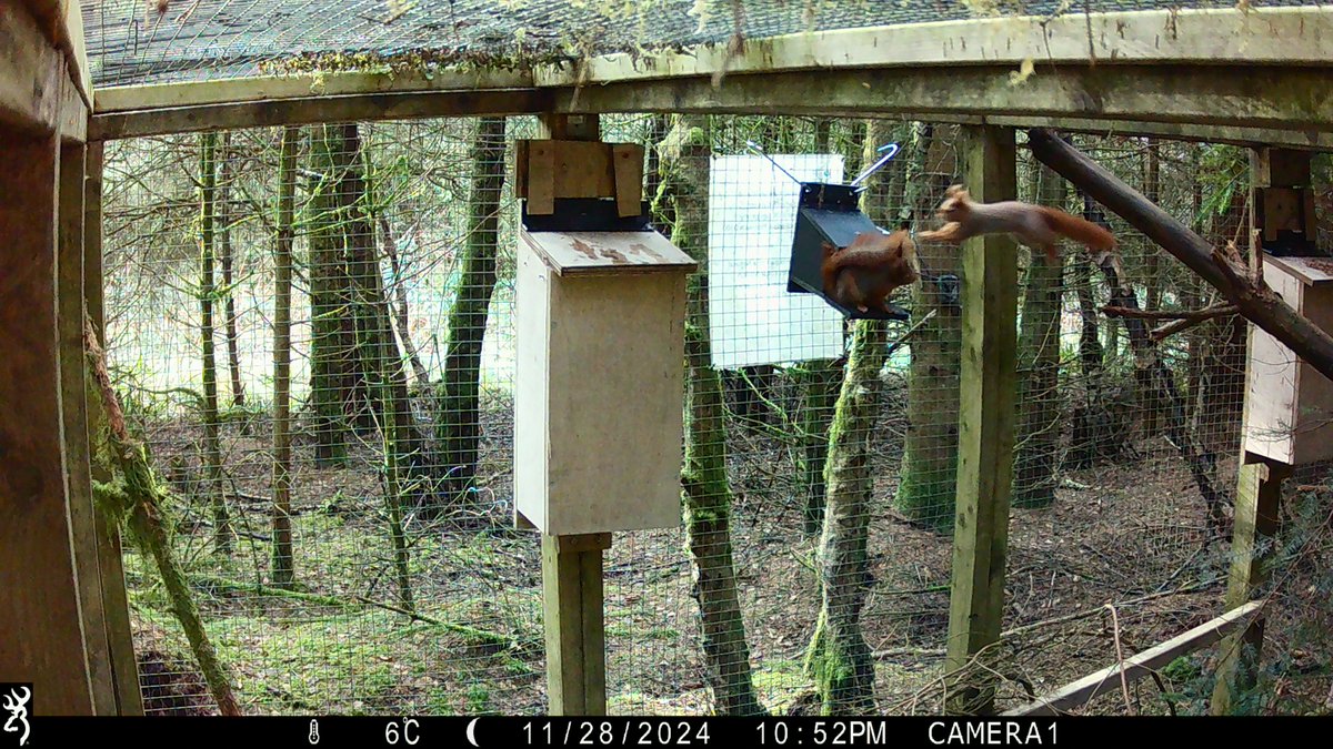 Dr Craig Shuttleworth tweet media