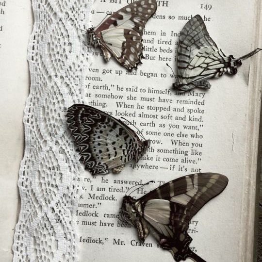 sanktadu's tweet image. ╰➤ cr: The Blood We Crave - one part