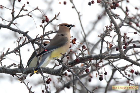 cPort Credit Union tweet media