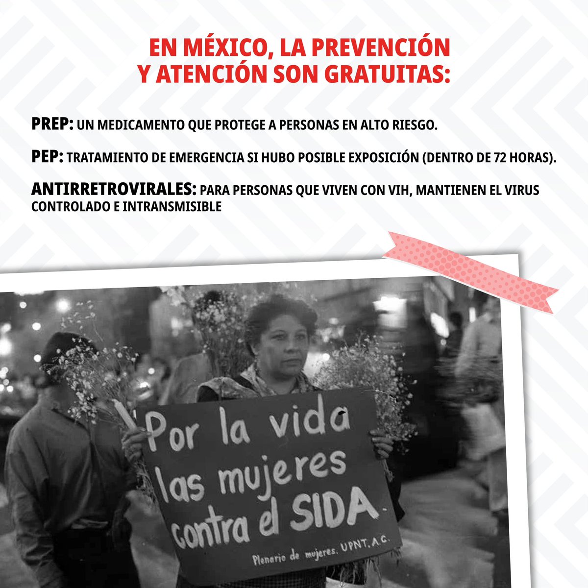 Nación de Orgullo tweet media