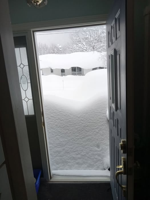 Sharon Malette tweet media