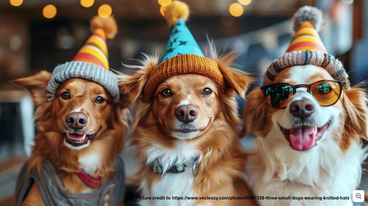 PetDwelling's tweet photo. 🖤🐾 CYBER MONDAY DEAL! 🐾🖤

🎉 Big Savings for Your Furry Friends! 🎉
✨ 35% OFF buy 2+ Tags w/code: CYBER35✨
🐶🐱 Keep your pets safe and stylish! 

🔗https://t.co/F6QGSoOKBa Shop now and celebrate Cyber Monday with us!

#CyberMonday #PetSafety #PetIDTags #PetLovers🐾🎉 https://t.co/gB4kcuMWY2