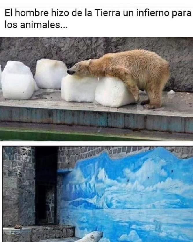😢