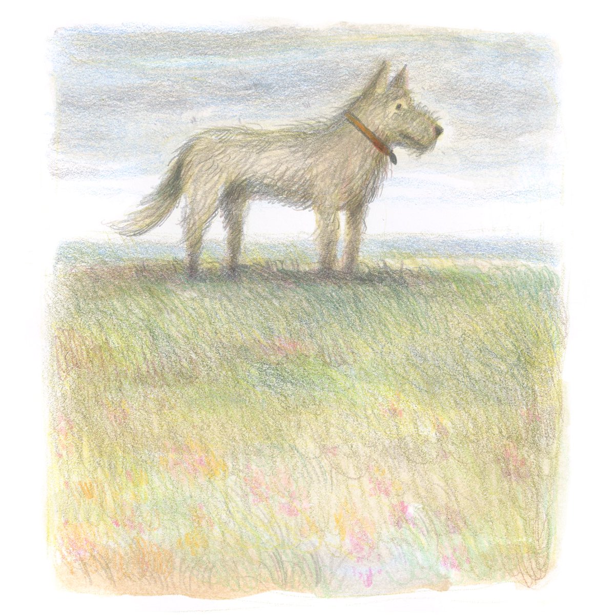 Standing in a field for this #sundaysketch.

#kidlitart #sketchbook #illustrator #drawing #illustration
