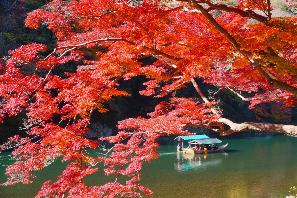 mt_pompon_ppy's tweet photo. 2024.12.1 京都市右京区
①嵐山 河川管理分界
②嵐山 亀山公園
③嵯峨野 護法堂弁財天
④嵯峨野 直指庵
12月に入って紅葉見頃盛り
私の記憶の限り最も遅いです

これだけ観光客が増えても
亀山公園や直指庵の静けさは失われていなくてとても良かった https://t.co/Zm2n7MoHUu