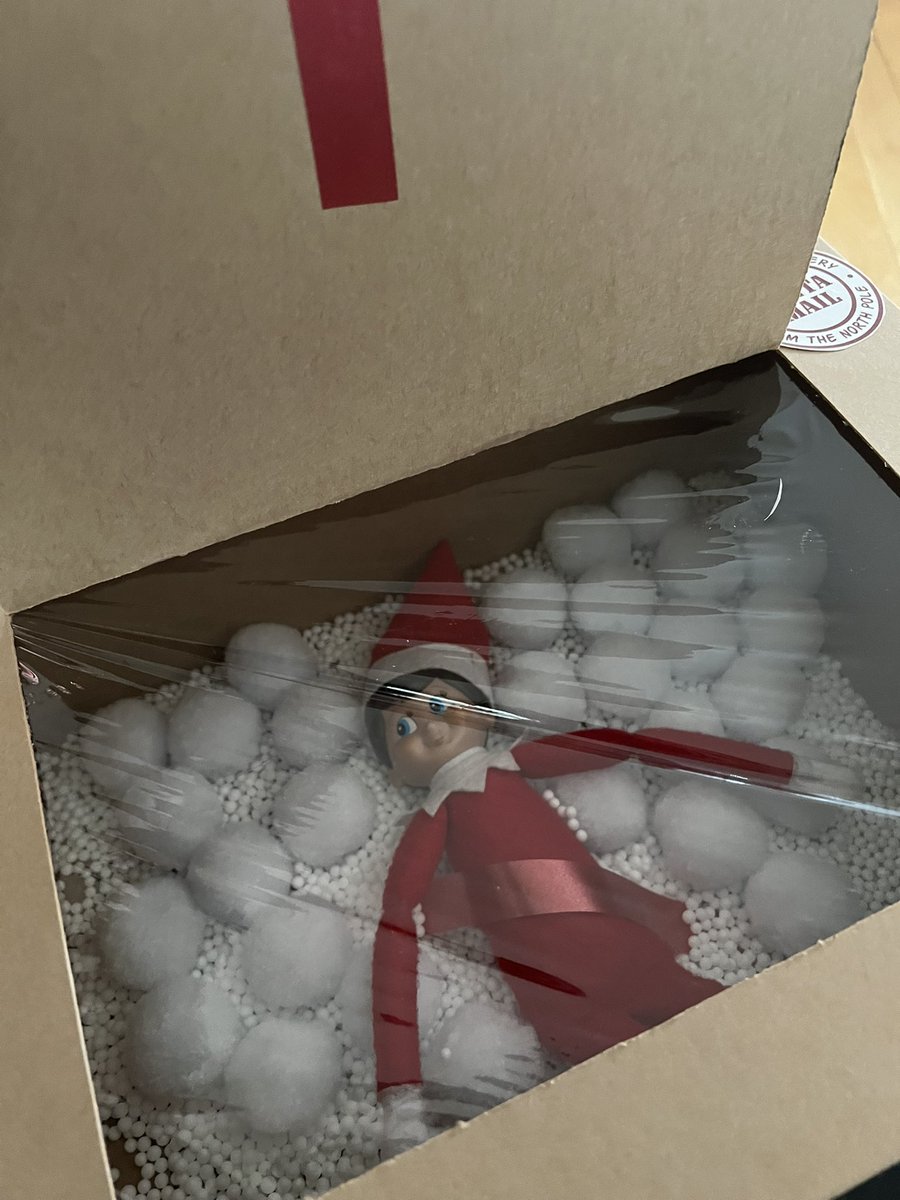 missblacksclass's tweet photo. @missblacksclass  got a special delivery this Morning. With the postal strike and @alcdsb_ofat closed on a Sunday we are lucky he found us! @studentsuccess #welcomebackwilly #Dec1 https://t.co/yOeYCBtxgi