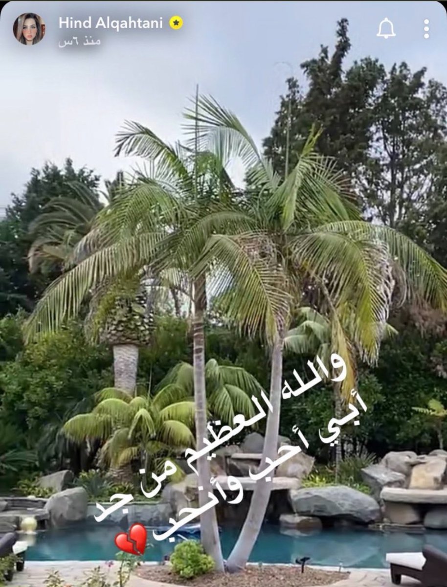 نرنر tweet media