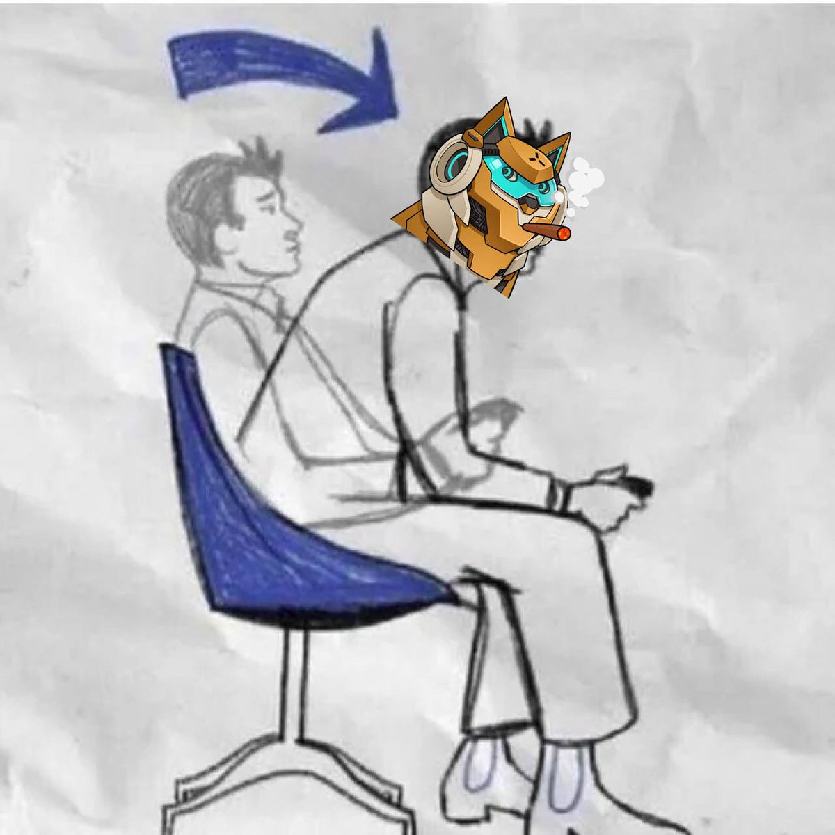 macn cat tweet media