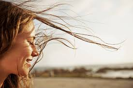 goowheeler's tweet photo. There are so many beautiful reasons to be happy. https://t.co/cIo0Xmq6gT
