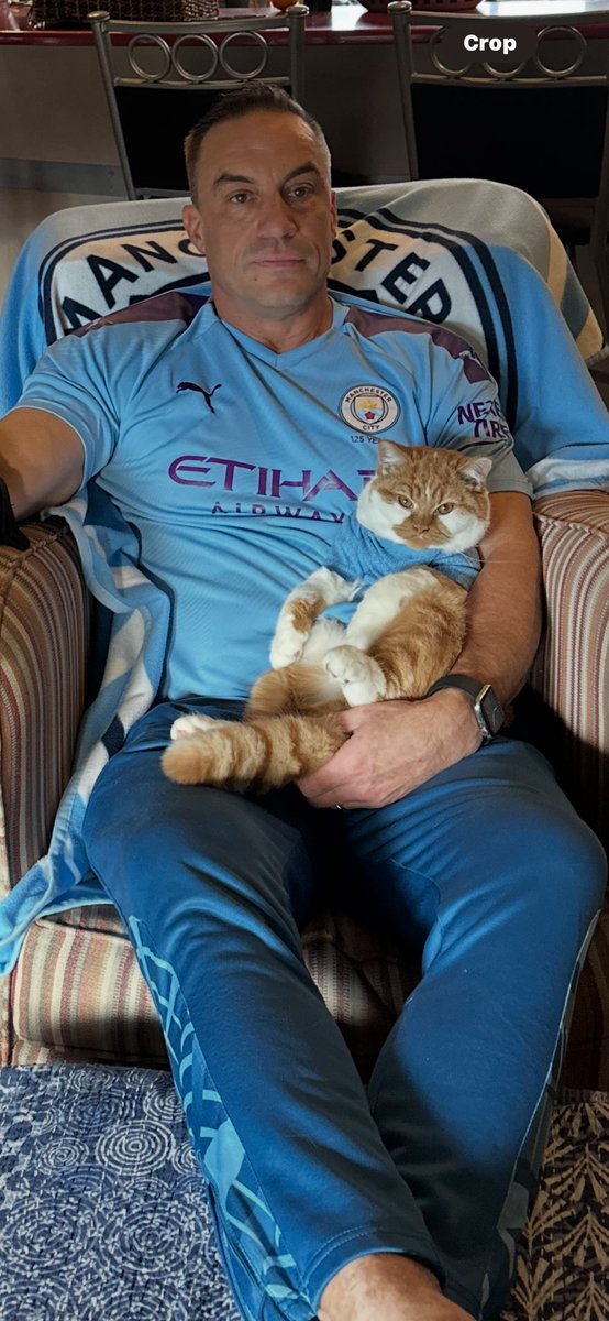 ArchieFaybepuff's tweet photo. #Alfie #ManKitty ManCity #Pets #MyPLMornings https://t.co/tY71zklAMR