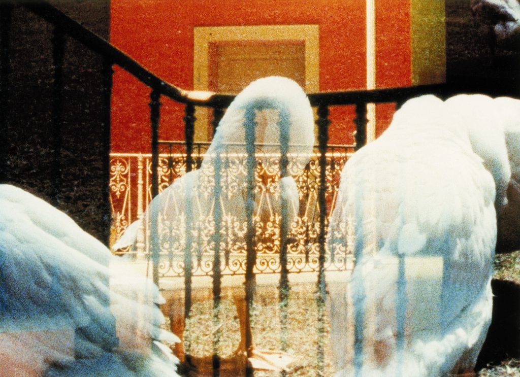 No os podéis imaginar la gran ilusión y la alegría que siento por poder ver al fin las películas de este cineasta en 16mm. 

Screening LAV #23 'Hannes Schüpbach. Entre ser y pasar, doblar la tela'. Próximo sábado, día 7 de diciembre, a las 21:30h. circulobellasartes.com/ciclos-cine/sc…