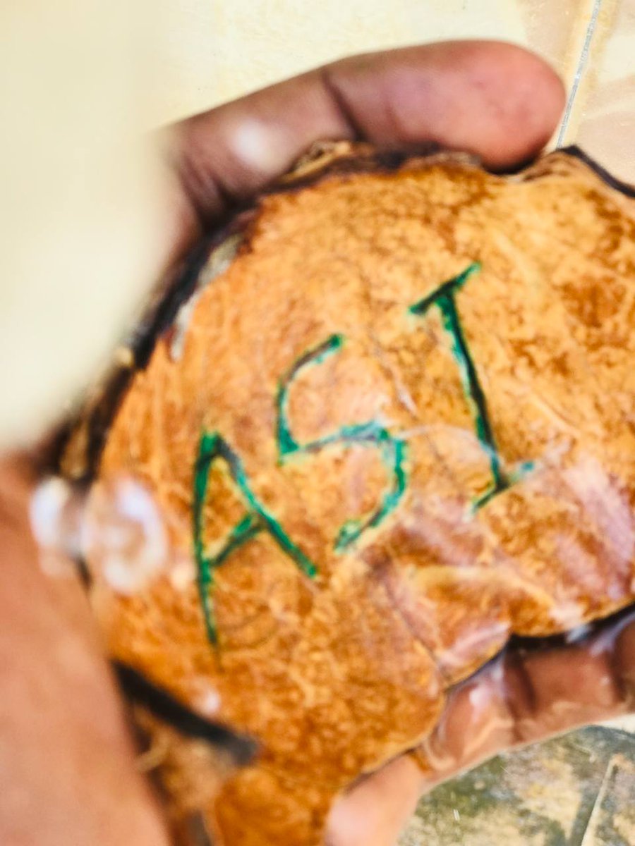 AkintunMax's tweet image. THE FREE WILL OF CHOICE AND CONTROL
Freedom of choice to own and control is supreme. The freedom that comes with exploring and appreciating nature and its fruits is invaluable. 
@Snetafrica @SingularityNET @ASIAlliance_ @SNET_Ambassador #SingularityNet #ASIinAfrica