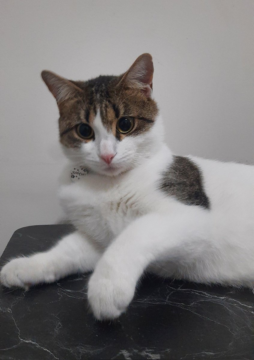 -Ne yaptın bugün?
+Seni hiç alakadar etmez