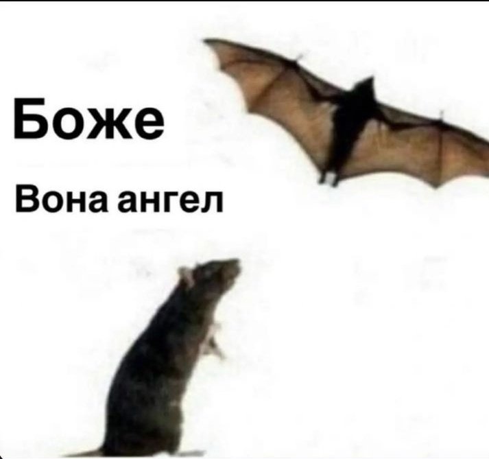 просто пам'ятайте, що для когось ви янгол 😂