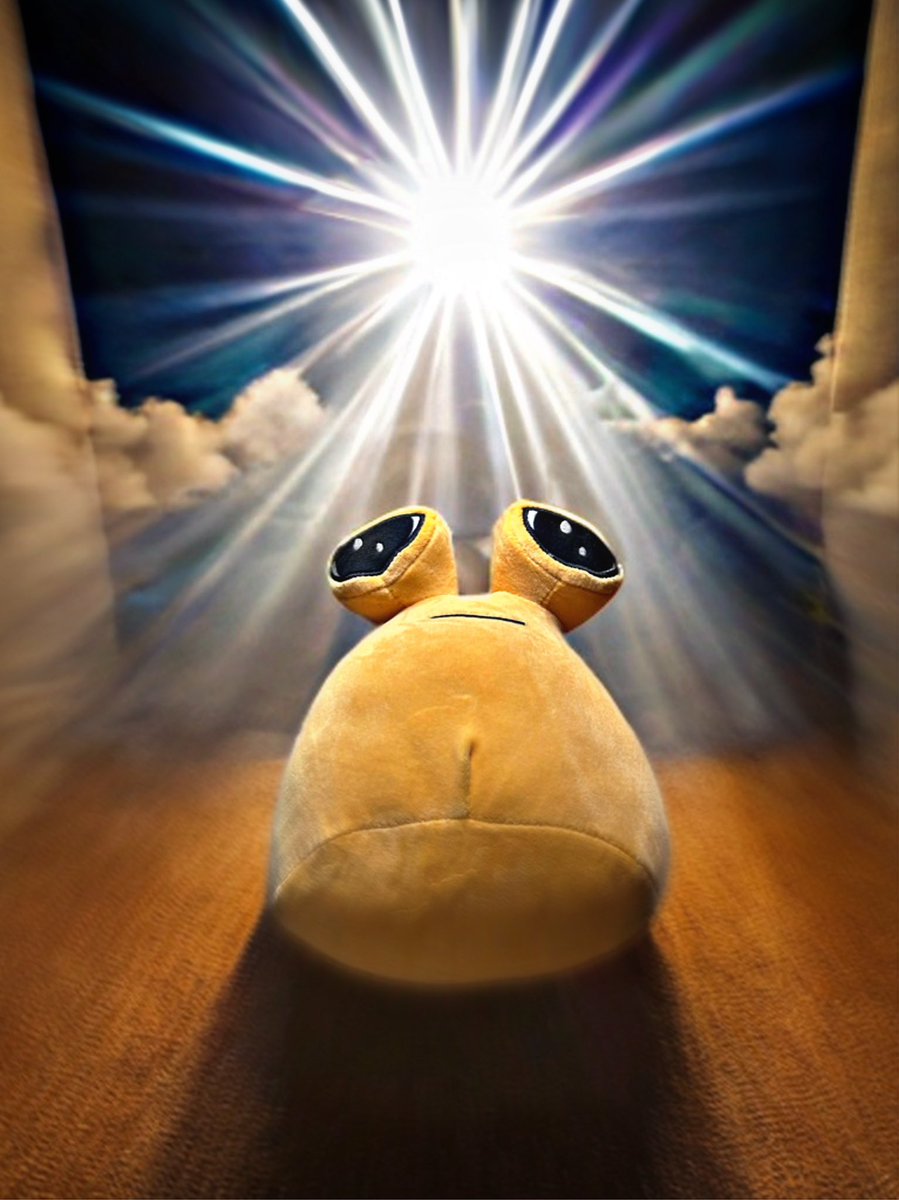 GM all you POU-lovin’ Chads! 

Some of us know that $POU is the chosen one - the one to lead us to POUHALLA. 

Tell them why fight and hold for POU….