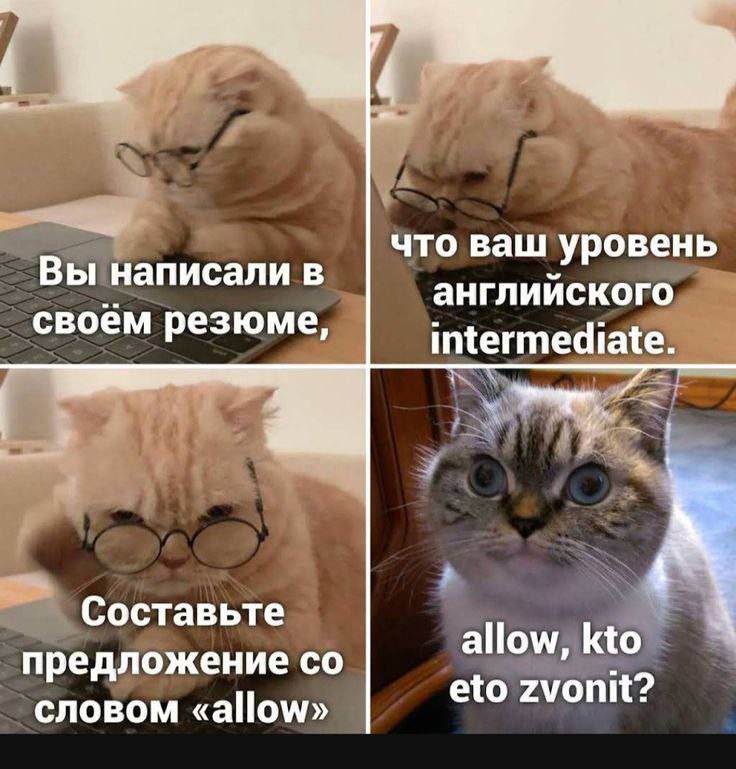 Пьяный Твиттер (@drunktwi) on Twitter photo 