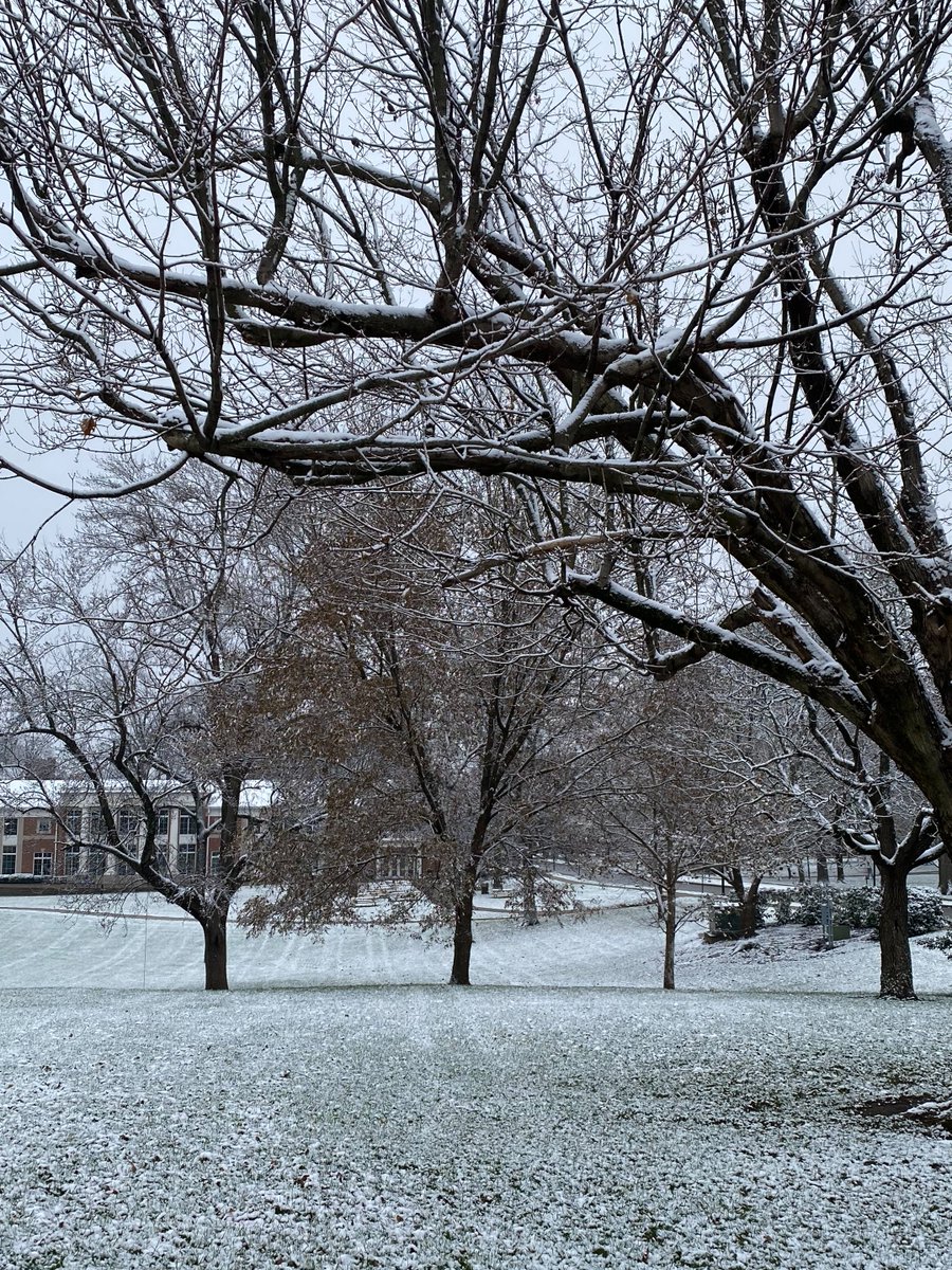 ❄, First of December