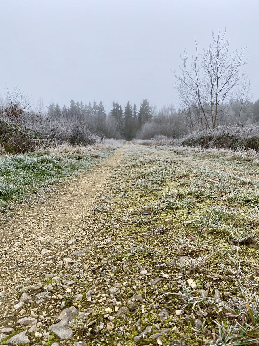 fusseltroll's tweet image. Wer geht mit … ein kleines Stück? #ErsterAdvent ❄️🕯️🎶