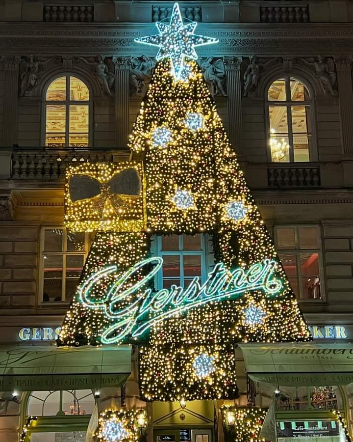 Advent in Vienna👼🎵
#CaféGerstner