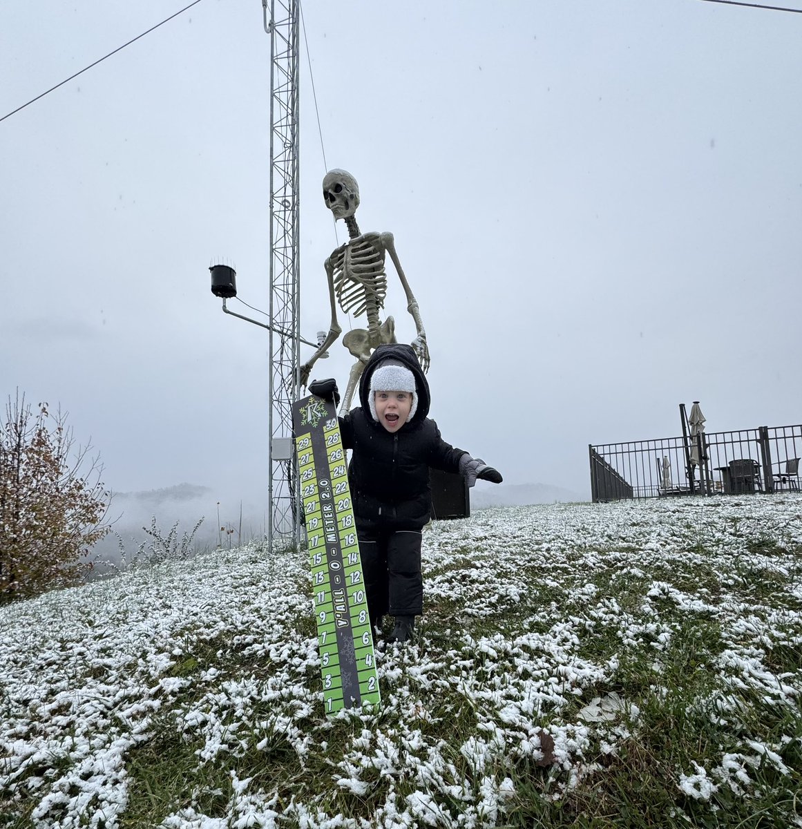 Ryan Hall, Y’all tweet media