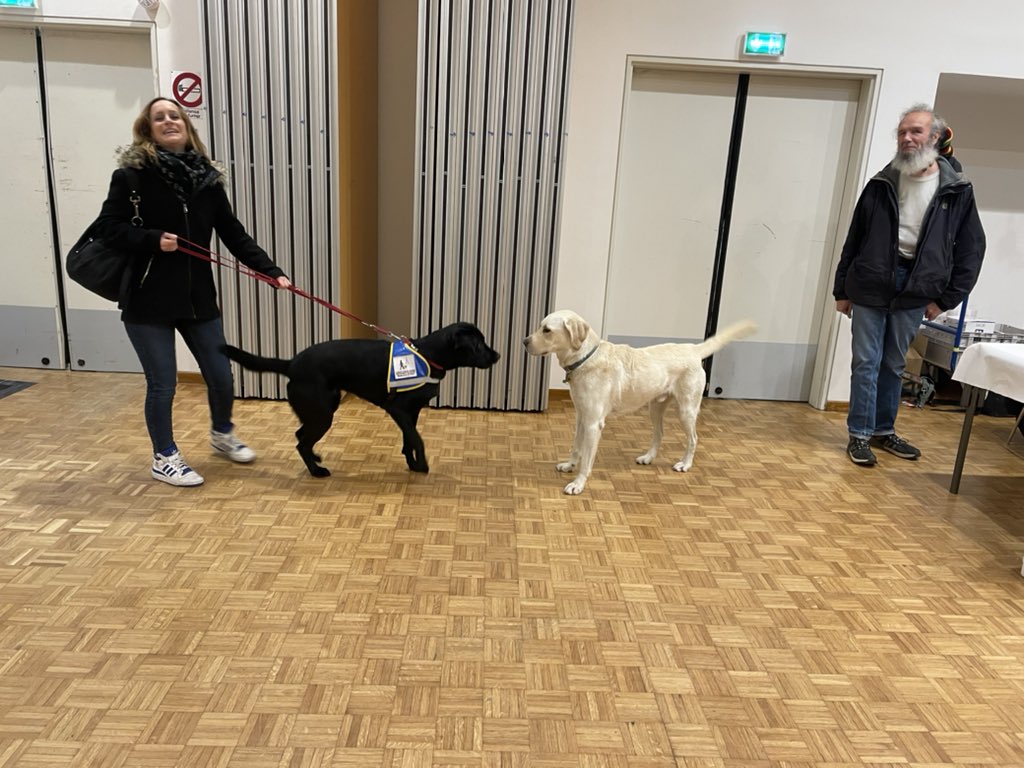 tillyarmelle's tweet image. 🎉 Quiz solidaire à Chaville !
Une après-midi conviviale avec environ 100 participants, 150 lots offerts par les commerçants et restaurateurs généreux.
👉 Les recettes reversées à l’association Chiens Guides Paris.
Merci à tous pour votre engagement ! 💙 #Solidarité #Chaville