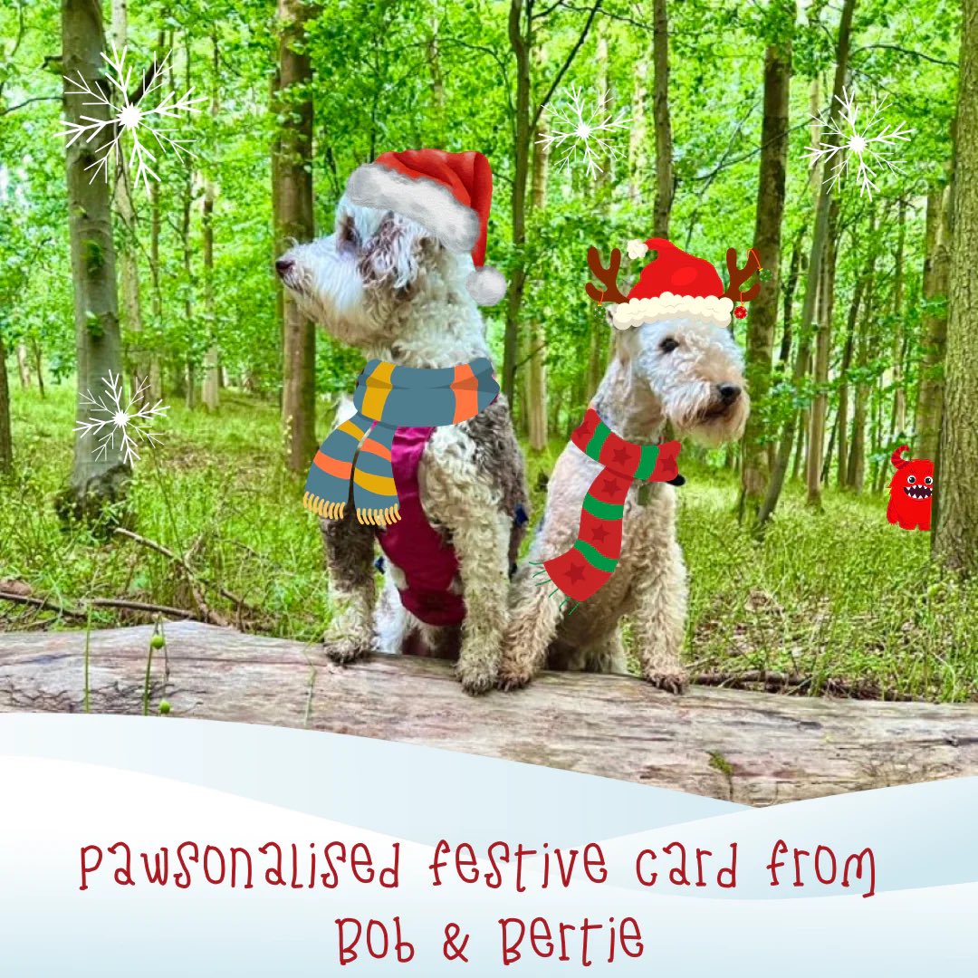 bemorebob2's tweet image. Pawsonalised hand-pawed Christmas card from us to your chosen pal!

Being the joy of receiving a card through the post to one of your pals. Maybe an elderly relative who loves to receive cards, or someone you haven’t seen for a while? Or your best dog-loving pal who will love and