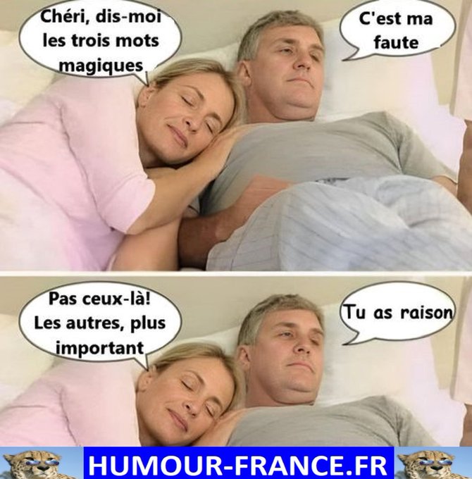text alternatif