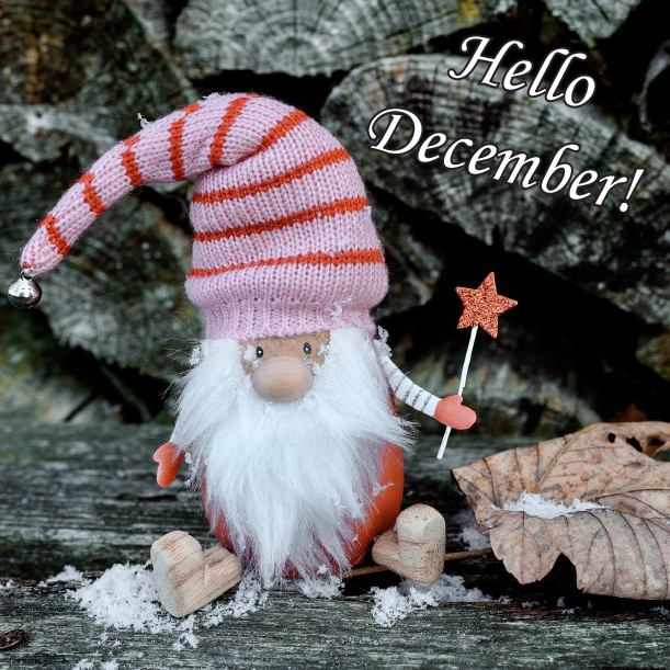 SpeedproBarrie's tweet image. We welcome the month of December….boy did it come fast this year!   Wishing you a month filled with good cheer!

#HelloDecember #NewMonth #SpeedProSigns #Barrie