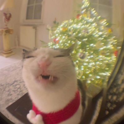 serscripts's tweet image. #NewProfilePic