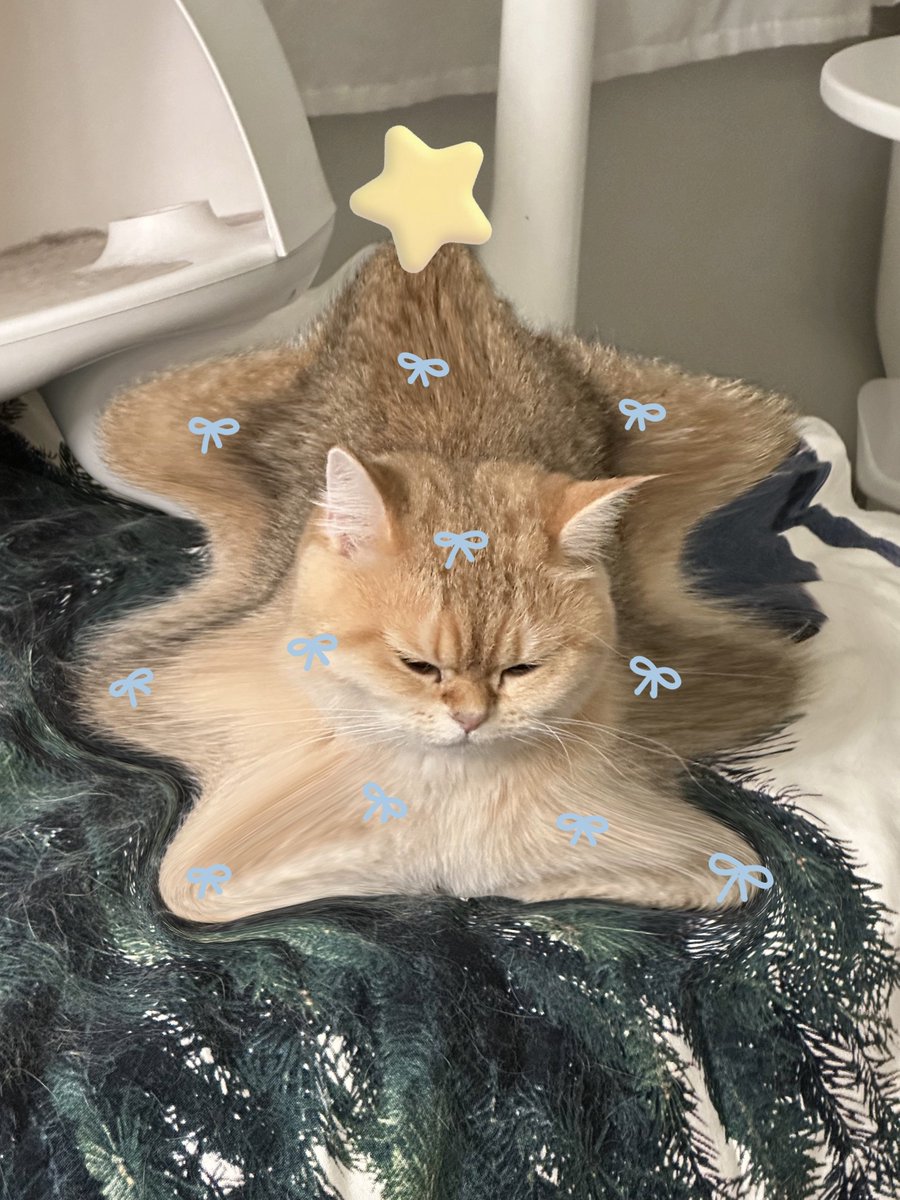 พิจิ๋วอะได้ แต่จ้มคืออออ…อะมีบ้า?