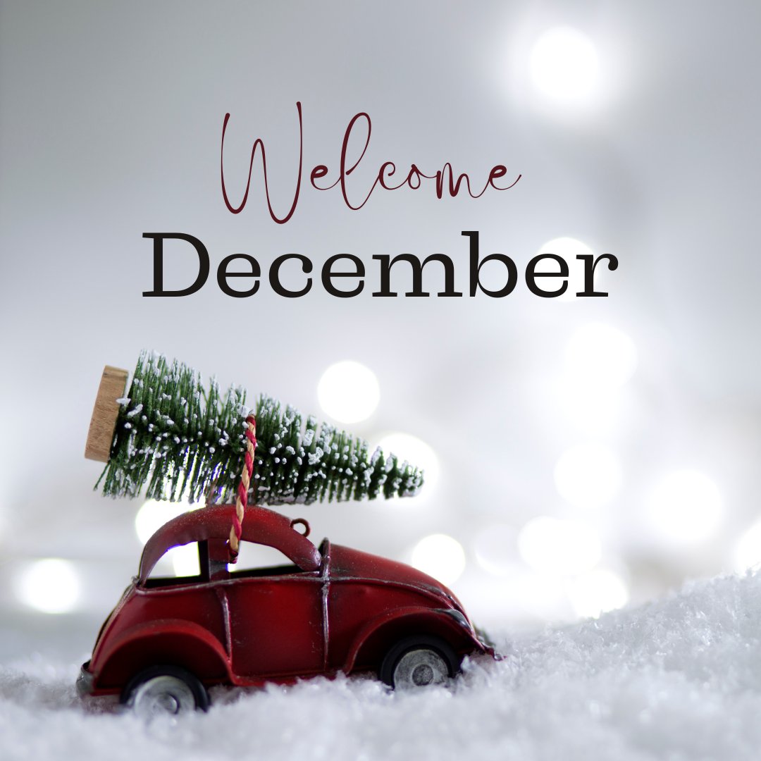vistasandsapts's tweet image. Hello, December! 🎄✨
As we step into the final month of the year, let’s embrace all the joy, warmth, and holiday cheer this season brings!
🌟 Stay tuned for exciting events and updates happening this month.

#HelloDecember #CommunityTogetherness #HolidaySeasonVibes...