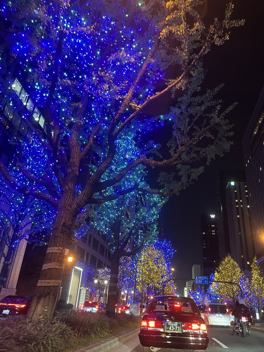 本日の御堂筋の夜景🌃です♪めちゃめちゃ綺麗でした😍