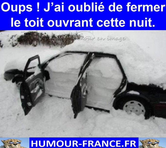 text alternatif