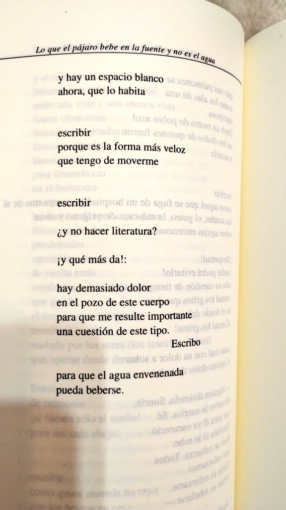 Letrasurbanas_ Andy tweet media