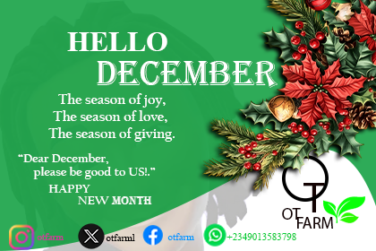 OtfarmL's tweet photo. Happy new month
#ot_industry
#otfarm https://t.co/C4OMRCmSVl