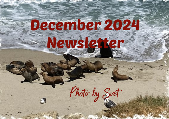 lymphsurvival's tweet photo. The December 2024 Newsletter has been posted --Best in Health, Robert #lymphoma --  (link: https://t.co/SSeNVa3aBK) https://t.co/9hDt5ZffZw