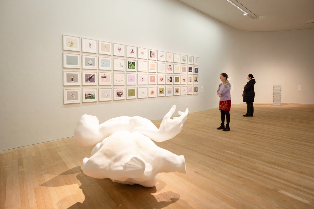 We successfully opened our two new exhibitions the other day🌟

Cecily Brennan’s PRESSURE and In Pieces: Navigating the Body in Contemporary Irish Art will be featured in the Glucksman from now until 9 March 2025!

Photos by Cathal Noonan