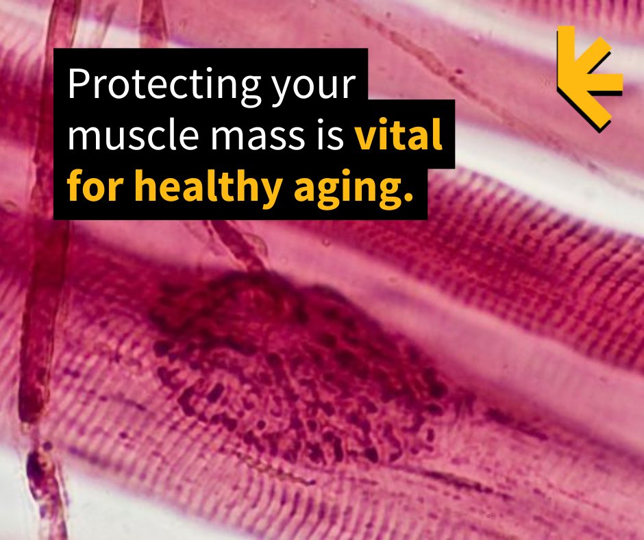 ScienceAlert's tweet photo. No matter what age you start, you can build the metabolic equivalent of a retirement savings plan.

https://t.co/Fnu0SHGdVj https://t.co/iOTjWaQ3tH