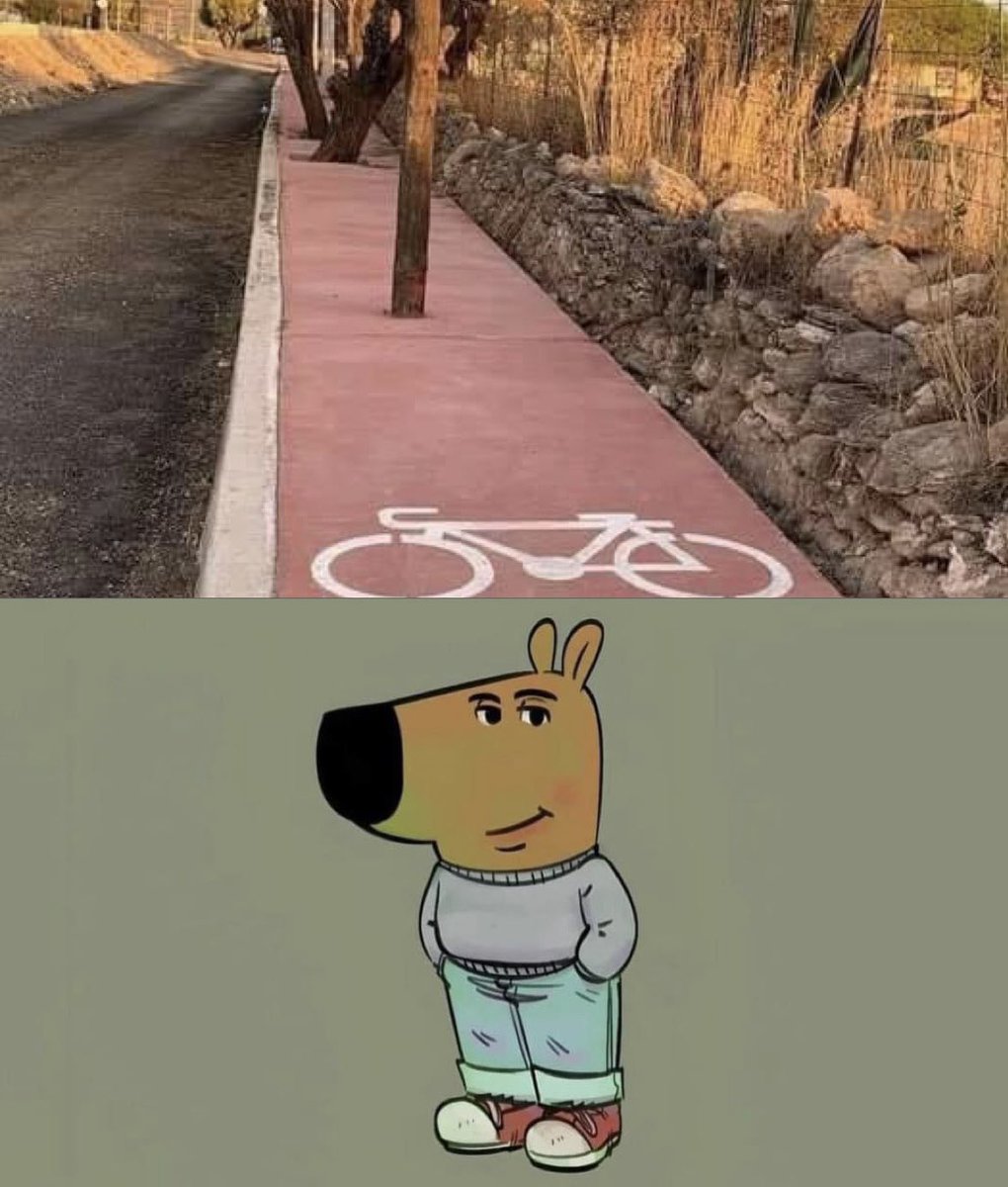 _lepmx's tweet photo. Cuando pides que se impulse la movilidad peatonal y ciclista en tu ciudad. 
- https://t.co/ehGdERZxMo