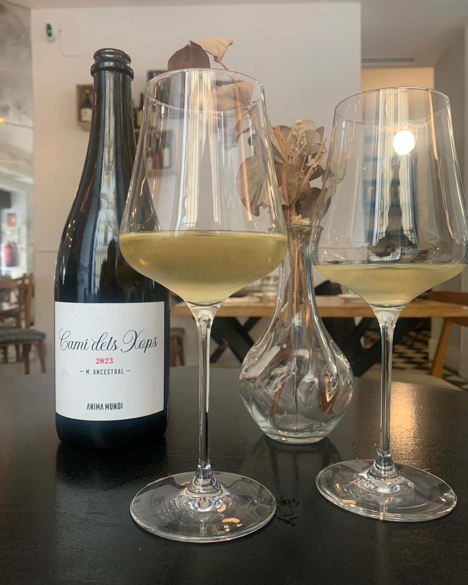 roc_sumiller's tweet photo. Ganz Wine Bar y Anima Mundi Camí dels Xops Ancestral 2023 💛
.
Insuperable! ✨
.
#vilaviniteca #animamundi #ganzwinebar #ancestral #atroca https://t.co/7mq5kybnD4