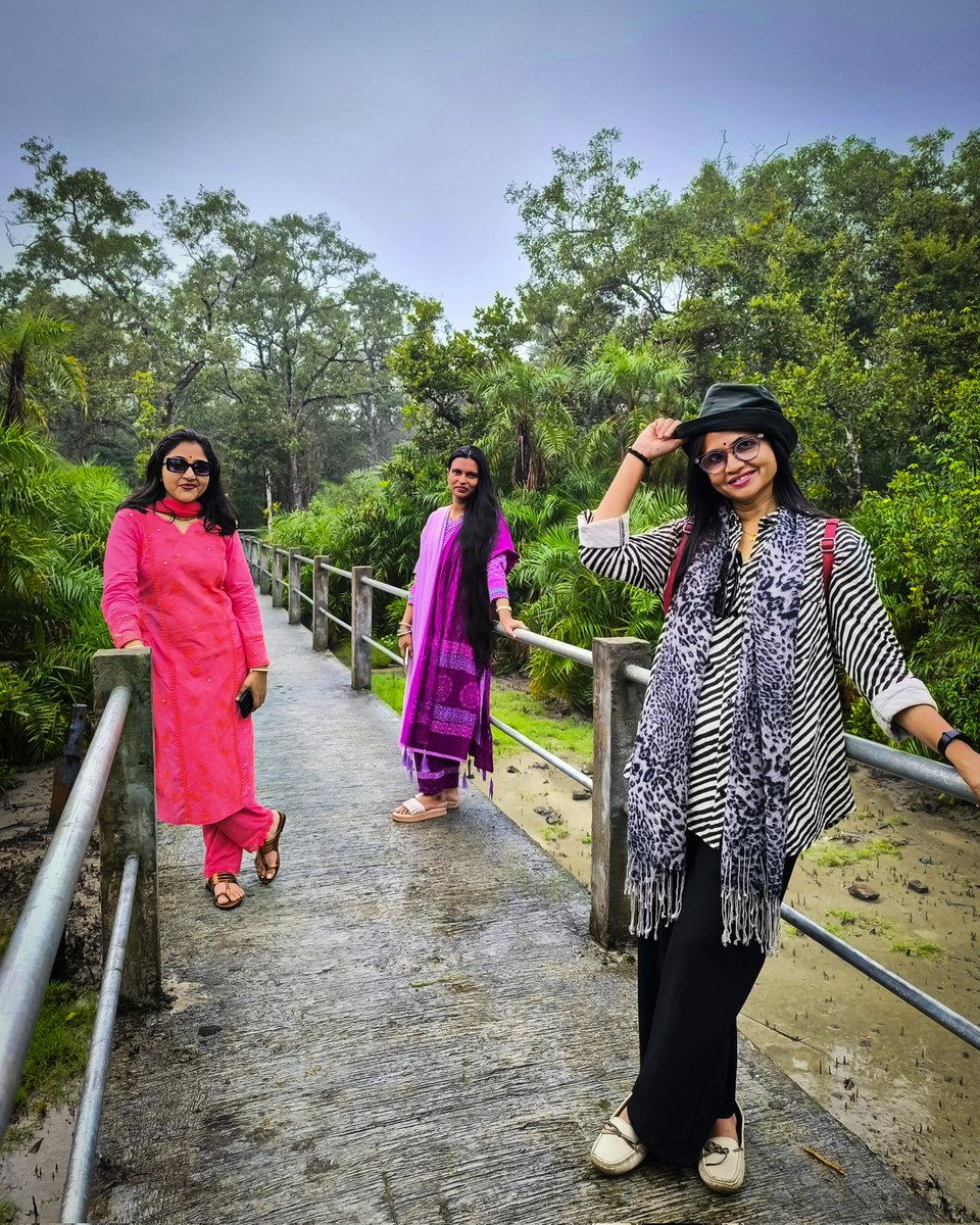 Sundarban🌴