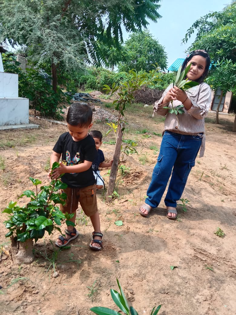 पेड़ पौधे हमारे पृथ्वी के लिए बहुत महत्वपूर्ण है 
वह हमें ऑक्सीजन देते हैं
प्राकृतिक वातावरण को सुधारते हैं इसलिए ज्यादा से ज्यादा पेड़ पौधे लगाना चाहिए 
पेड़ पौधे लगाओ जीवन बचाओ