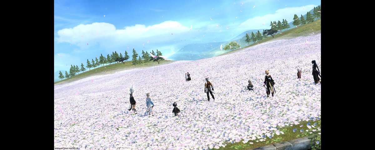 ぴーえふ tweet media