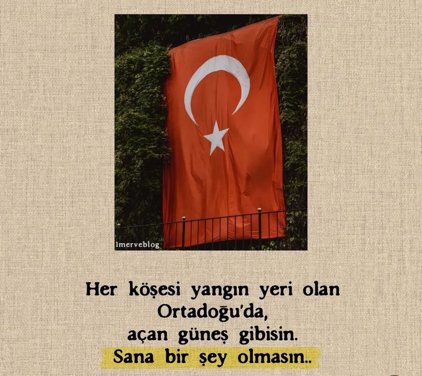 nelergorecegiz's tweet photo. https://t.co/PN1OnWAaDx