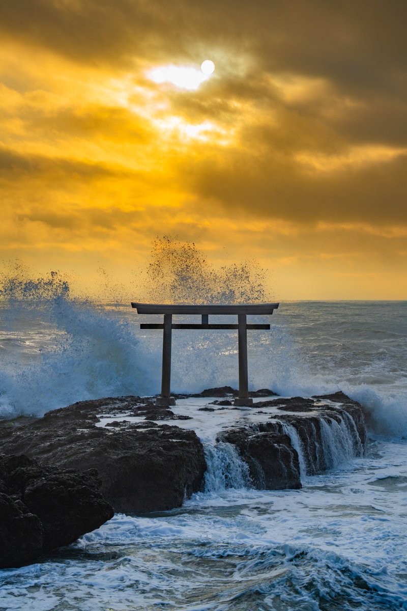 せさん🥐 tweet media